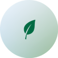 hanzalacodehub